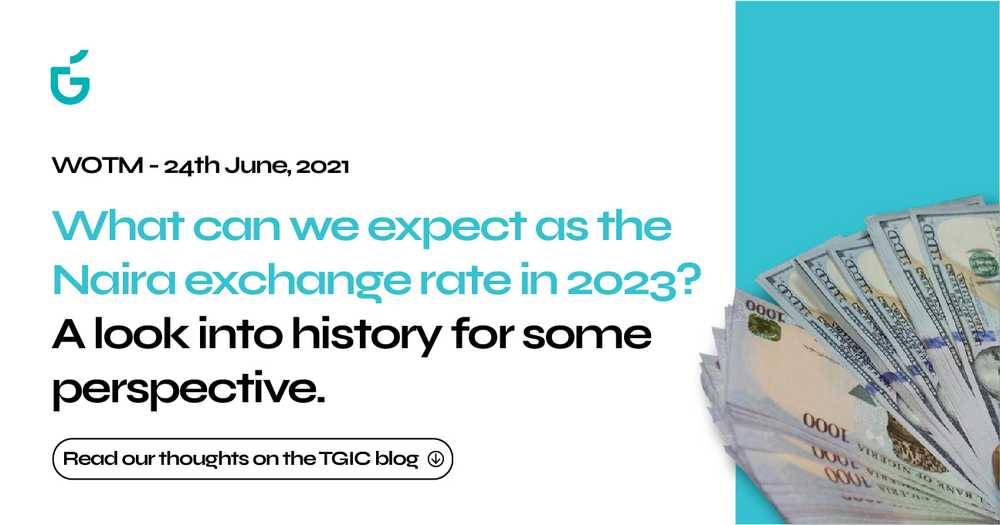 What can we expect as the Naira/Exchange rate in 2023?